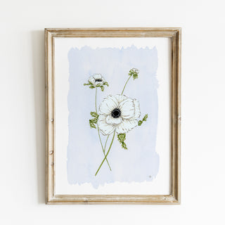 Anemone No. 1 Print