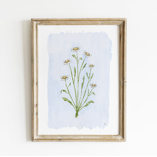 Chamomile No. 1 Print
