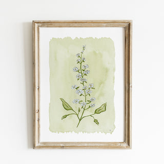 Larkspur No. 1 Print