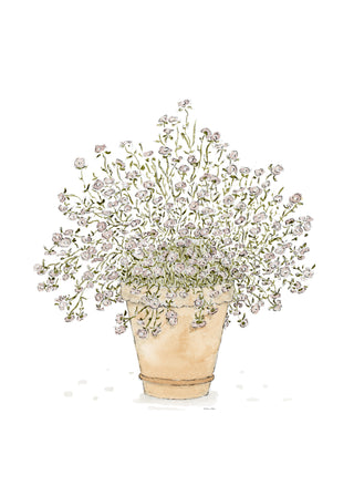 Potted Daisies Print