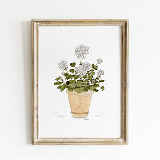 Potted Geraniums Print
