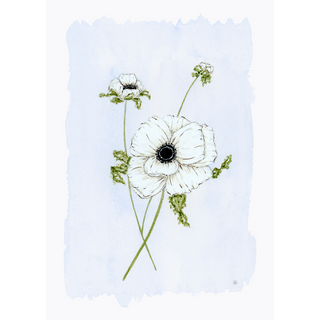 Anemone No. 1 Print