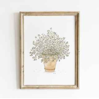 Potted Daisies Print
